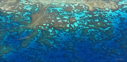 Great Barrier Reef - QLD T (PBH4 00 14865)